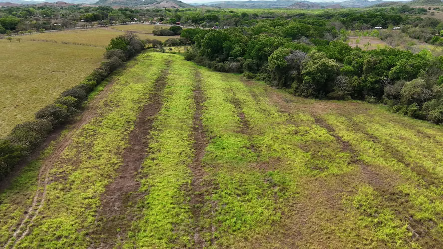 20.04 HECTÁREAS EN ACLITA, RÍO DE JESÚS | TIERRA PRODUCTIVA CON VISIÓN DE FUTURO AMD