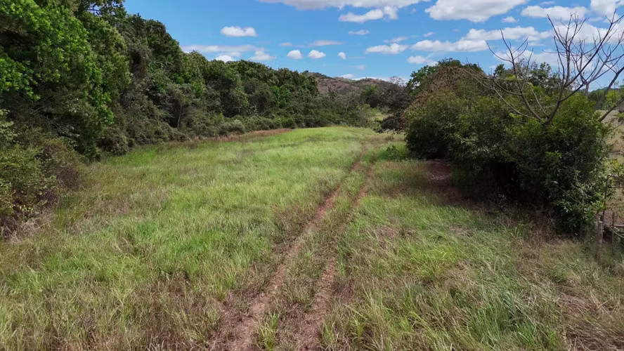 20.04 HECTÁREAS EN ACLITA, RÍO DE JESÚS | TIERRA PRODUCTIVA CON VISIÓN DE FUTURO AMD
