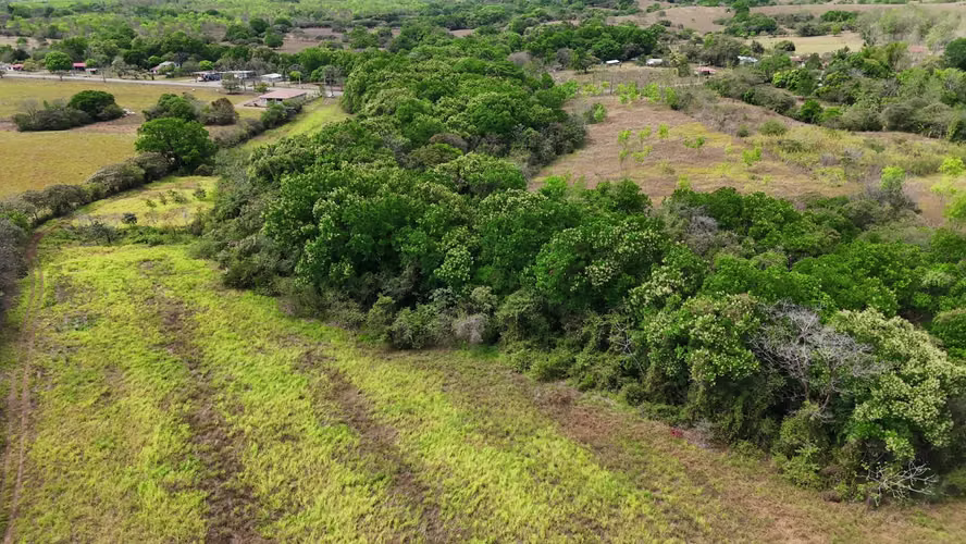 20.04 HECTÁREAS EN ACLITA, RÍO DE JESÚS | TIERRA PRODUCTIVA CON VISIÓN DE FUTURO AMD