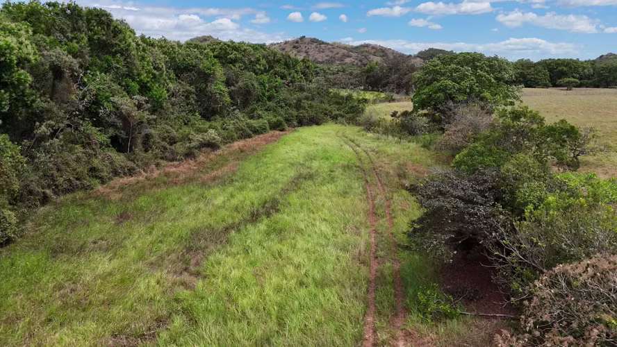 20.04 HECTÁREAS EN ACLITA, RÍO DE JESÚS | TIERRA PRODUCTIVA CON VISIÓN DE FUTURO AMD