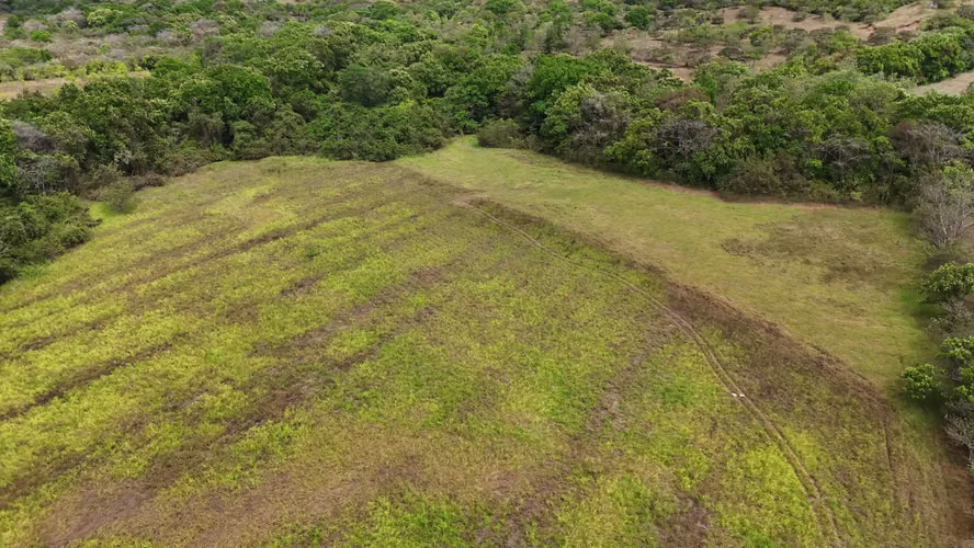 20.04 HECTÁREAS EN ACLITA, RÍO DE JESÚS | TIERRA PRODUCTIVA CON VISIÓN DE FUTURO AMD