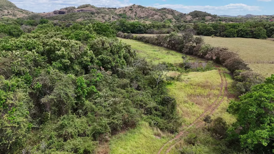 20.04 HECTÁREAS EN ACLITA, RÍO DE JESÚS | TIERRA PRODUCTIVA CON VISIÓN DE FUTURO AMD