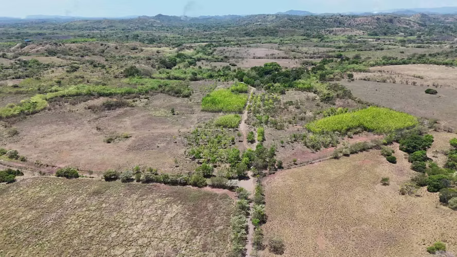 VENTA 20.5 HECTÁREAS EN LLANO LARGO | TIERRA PRODUCTIVA, AGUA TODO EL AÑO Y ACCESO ASFALTADO AMD