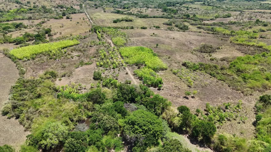 VENTA 20.5 HECTÁREAS EN LLANO LARGO | TIERRA PRODUCTIVA, AGUA TODO EL AÑO Y ACCESO ASFALTADO AMD