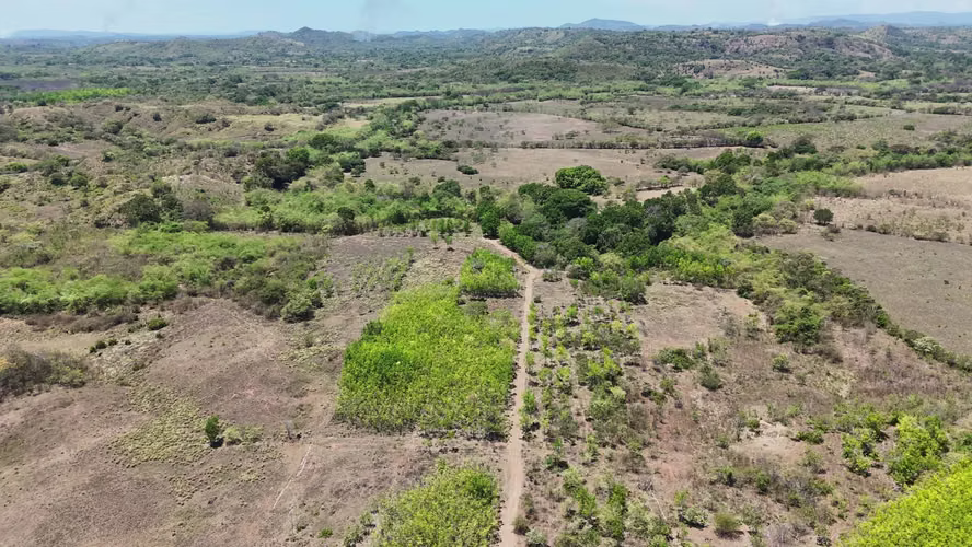 VENTA 20.5 HECTÁREAS EN LLANO LARGO | TIERRA PRODUCTIVA, AGUA TODO EL AÑO Y ACCESO ASFALTADO AMD