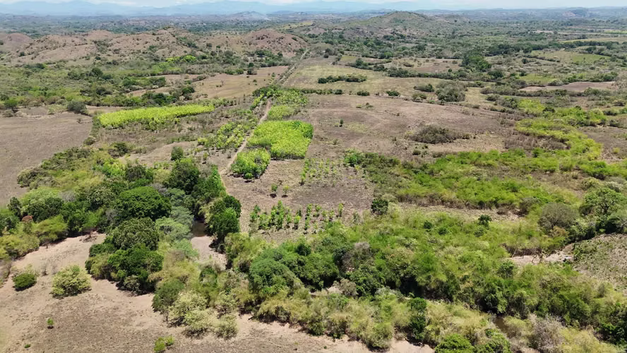 VENTA 20.5 HECTÁREAS EN LLANO LARGO | TIERRA PRODUCTIVA, AGUA TODO EL AÑO Y ACCESO ASFALTADO AMD