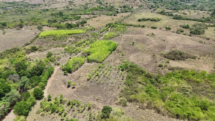 VENTA 20.5 HECTÁREAS EN LLANO LARGO | TIERRA PRODUCTIVA, AGUA TODO EL AÑO Y ACCESO ASFALTADO AMD