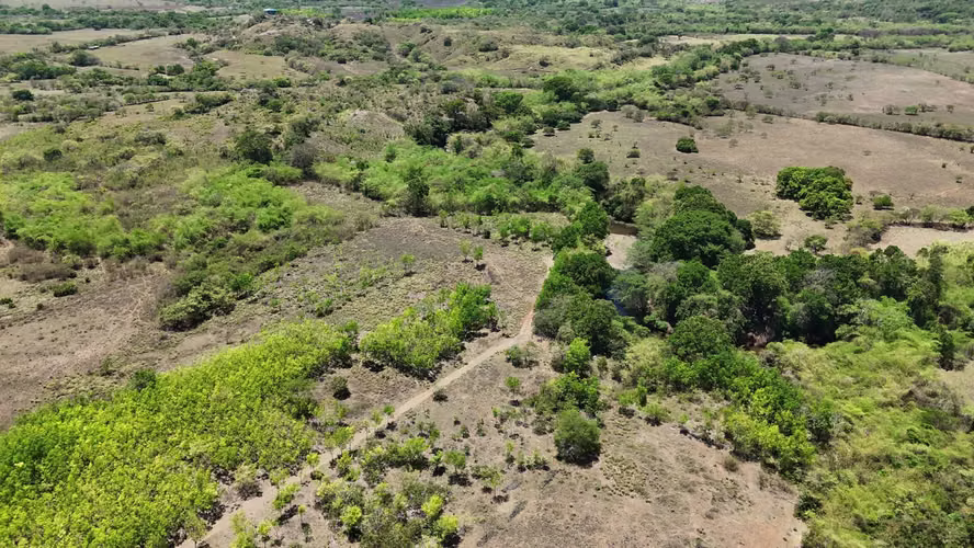 VENTA 20.5 HECTÁREAS EN LLANO LARGO | TIERRA PRODUCTIVA, AGUA TODO EL AÑO Y ACCESO ASFALTADO AMD
