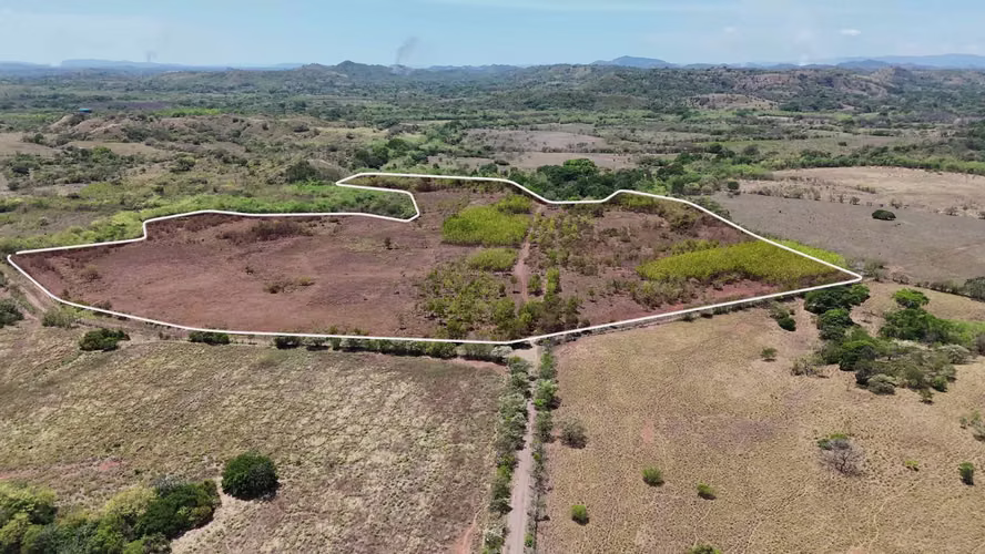 VENTA 20.5 HECTÁREAS EN LLANO LARGO | TIERRA PRODUCTIVA, AGUA TODO EL AÑO Y ACCESO ASFALTADO AMD