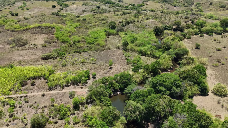 VENTA 20.5 HECTÁREAS EN LLANO LARGO | TIERRA PRODUCTIVA, AGUA TODO EL AÑO Y ACCESO ASFALTADO AMD