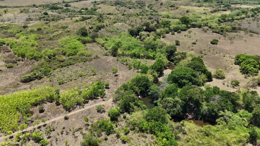 VENTA 20.5 HECTÁREAS EN LLANO LARGO | TIERRA PRODUCTIVA, AGUA TODO EL AÑO Y ACCESO ASFALTADO AMD