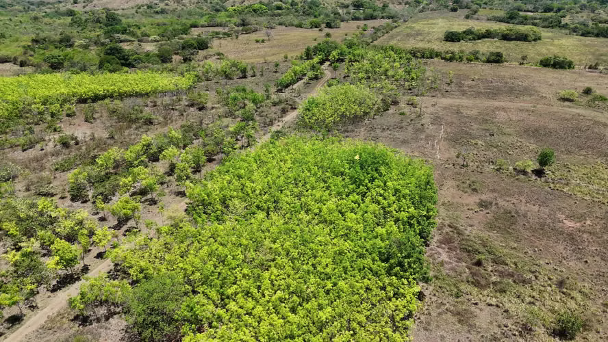 VENTA 20.5 HECTÁREAS EN LLANO LARGO | TIERRA PRODUCTIVA, AGUA TODO EL AÑO Y ACCESO ASFALTADO AMD