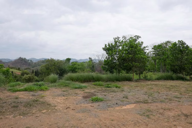 VENDO Lotes de Terreno en Panama Norte. 242000 M2. MAG