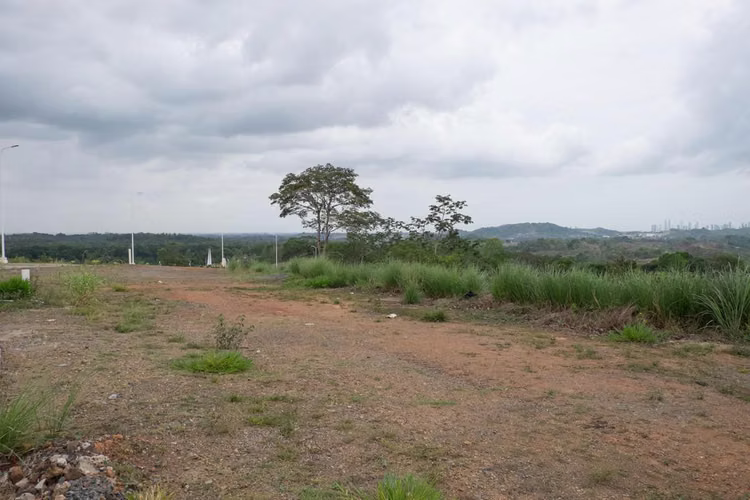 VENDO Lotes de Terreno en Panama Norte. 242000 M2. MAG