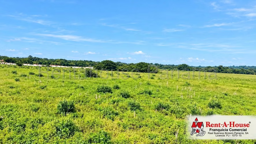 Terreno En Alquiler En Las Tablas YS