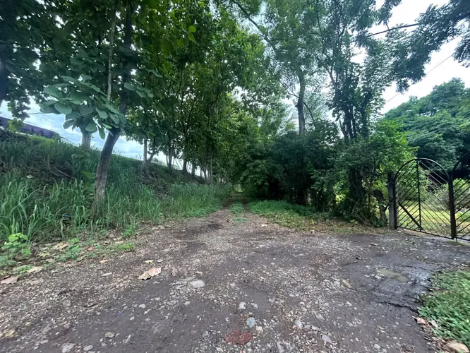SALE 4.24 HECTARES IN GIMME) 124; PERMANENT WATER, PRODUCTIVE LAND AND INVESTMENT POTENTIAL AMD