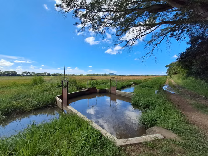 Finca Agrícola 127 Ha con Riego Permanente – Río Grande, Coclé