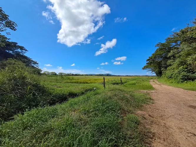 Finca Agrícola 127 Ha con Riego Permanente – Río Grande, Coclé