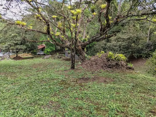 El Valle – Lote Campestre – 7,756mts2 – 350,000
