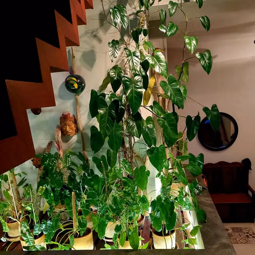 Venta de Penthouse en Casco Antiguo – PH Benedetti Hermanos - Imagen 9