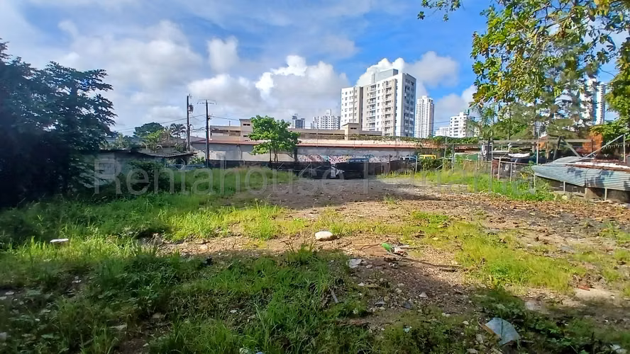 Alquiler de Terreno en Carrasquilla SN - Imagen 4
