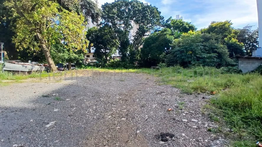 Alquiler de Terreno en Carrasquilla SN - Imagen 6