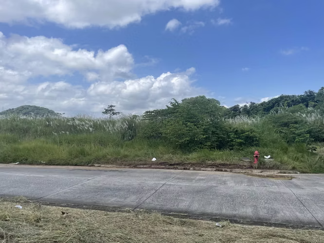 Terrenos comerciales frente a la Ciudad de la Salud desde 2.4 ha - Imagen 7