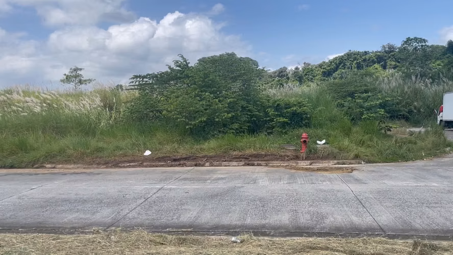 Terrenos comerciales frente a la Ciudad de la Salud desde 2.4 ha - Imagen 8