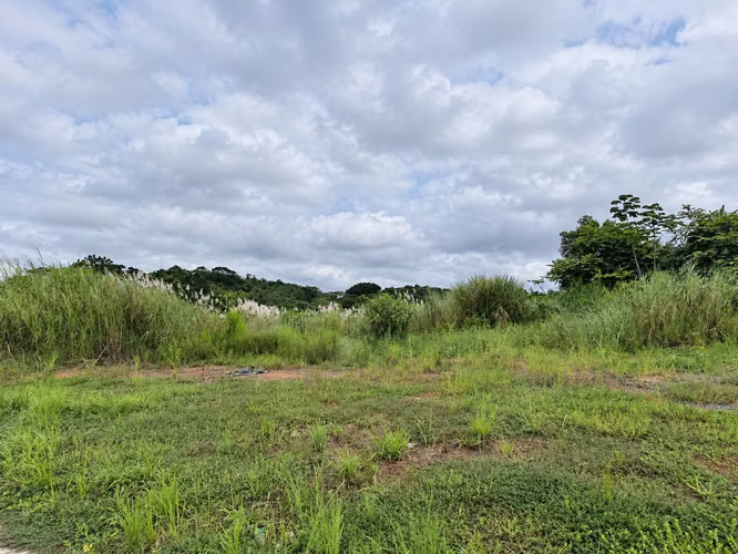 Venta de Terreno en Vacamonte, Arraiján, 39,595 m² - Imagen 9