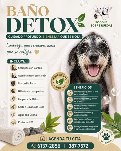 Peluquería Canina Y Felina en Panamá 