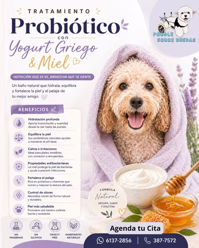 Peluquería Canina Y Felina en Panamá 