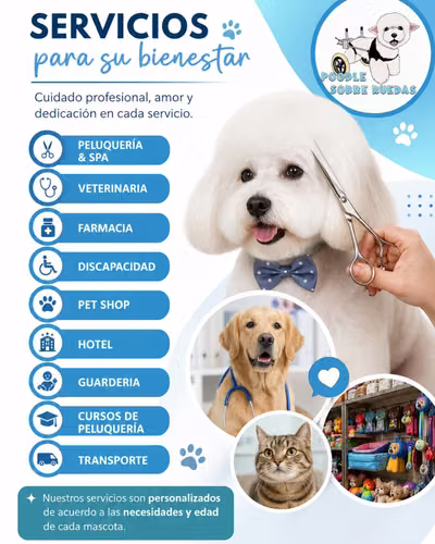 Peluquería Canina Y Felina en Panamá 