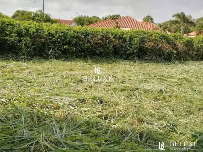 VENTA DE TERRENO EN NUEVA GORGONA CHAME (6)