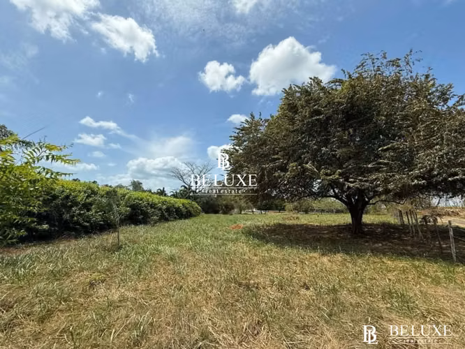 VENTA DE TERRENO EN NUEVA GORGONA CHAME (6)