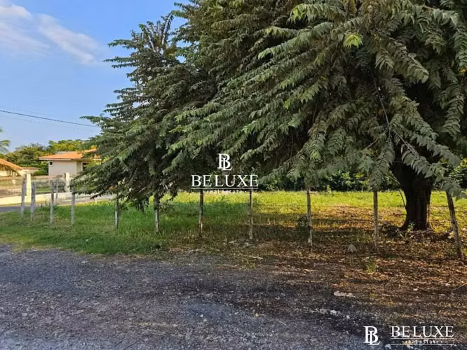 VENTA DE TERRENO EN NUEVA GORGONA CHAME (6)
