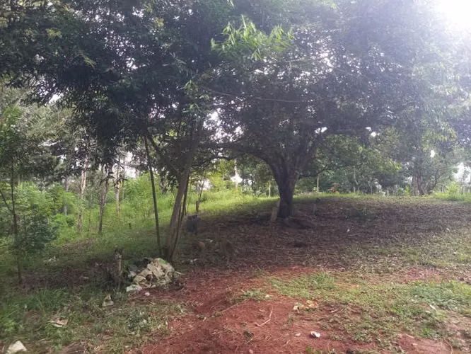 SE VENDE TERRENO EN RANA DE ORO, PEDREGAL