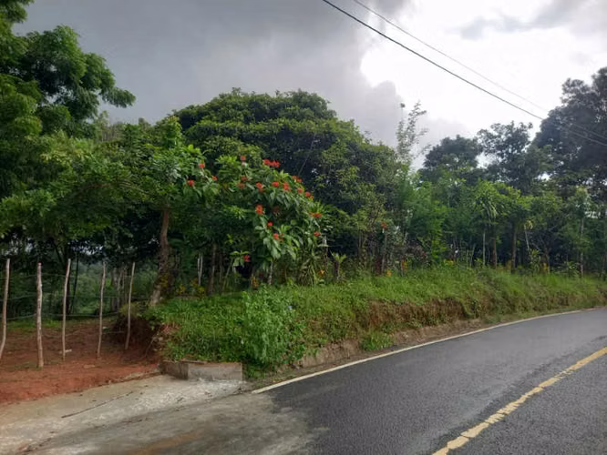 SE VENDE TERRENO EN RANA DE ORO, PEDREGAL