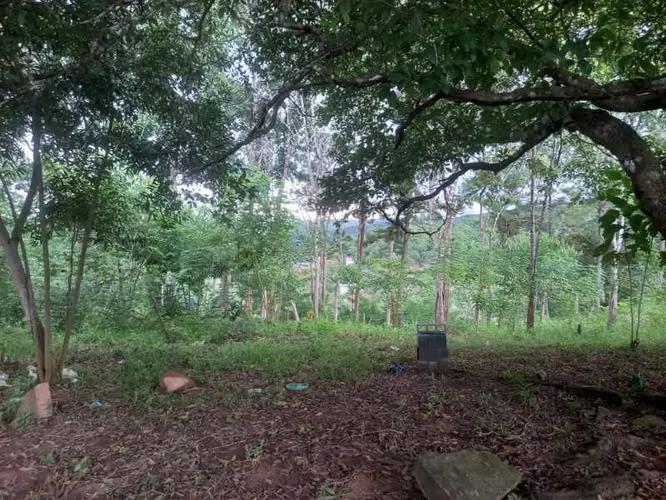 SE VENDE TERRENO EN RANA DE ORO, PEDREGAL