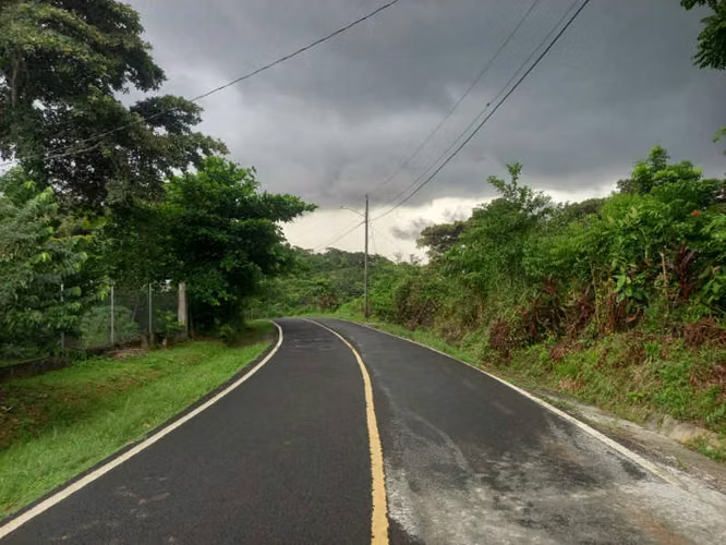 LAND IS SOLD IN GOLD FROG, PEDREGAL