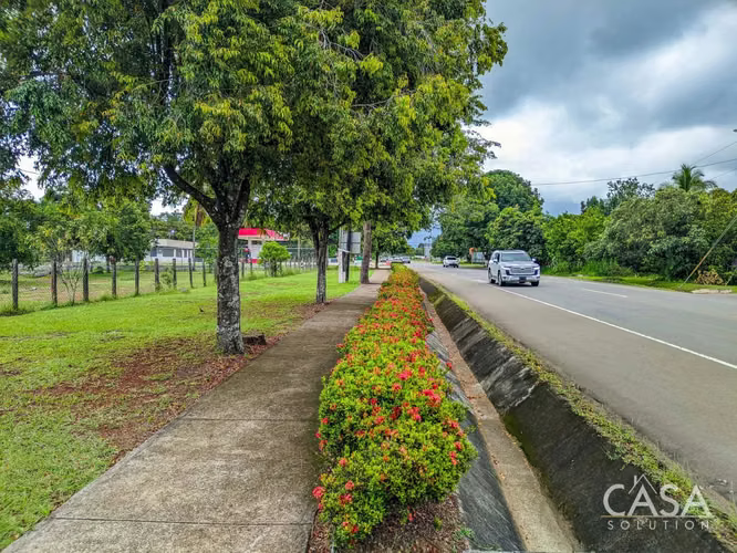 Propiedad de 2906 m² con 67 Metros de Frente a Carretera en Los Anastacios, Dolega - cs id: 345986 - Imagen 7