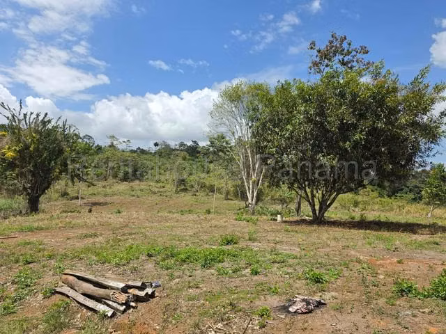 Venta de terreno en El Sigual,La Chorrera, Oportunidad para desarrollar  - Imagen 1