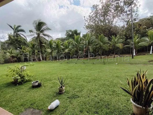 Venta de casa familiar Davis, Colón - Imagen 12