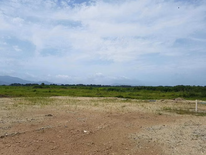 Vendo Terreno de 6,068.78m2 en Tocumen Felipillo 20-7634SRZ