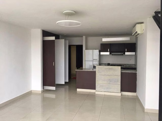Apartamento de dos pisos en PH Vitro Loft en El Cangrejo