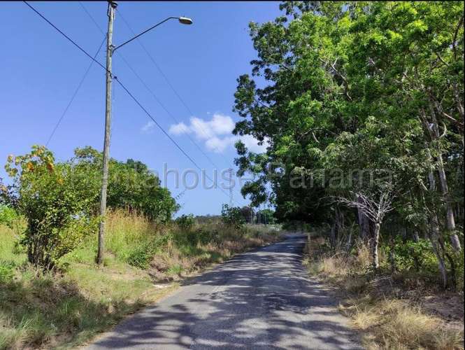 Farms for sale in San Carlos 26MGO6281