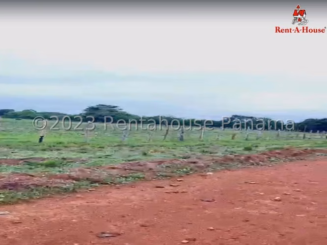 Land Rental in Aguadulce DPA24-967