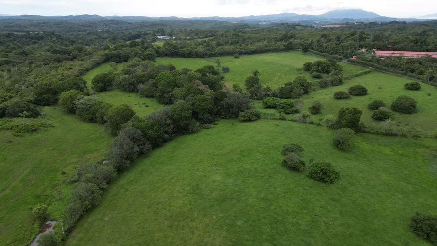 51 HECTÁREAS DE TERRENO! $3,571,715 - Imagen 14