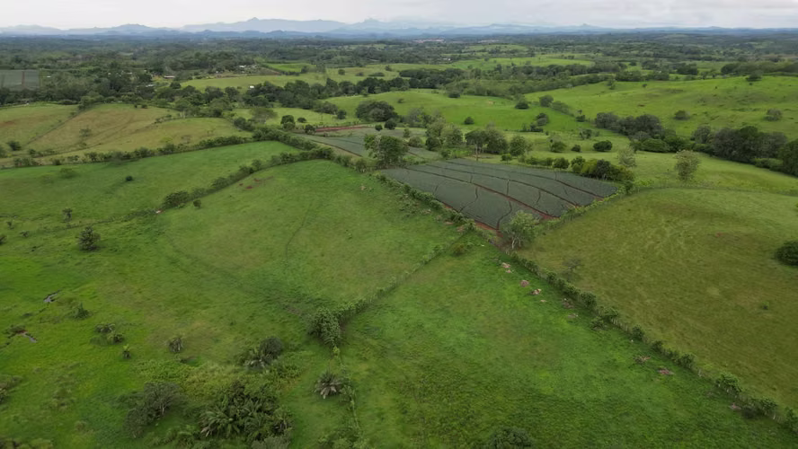 51 HECTÁREAS DE TERRENO! $3,571,715 - Imagen 17