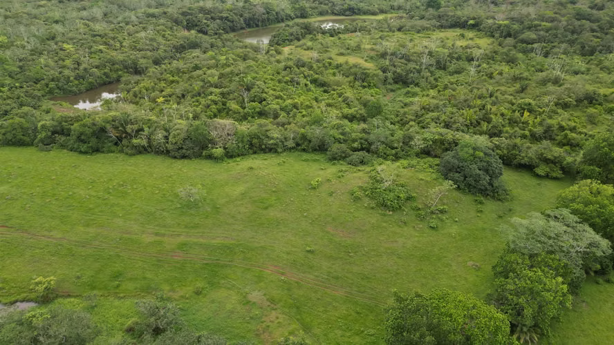 51 HECTÁREAS DE TERRENO! $3,571,715 - Imagen 15