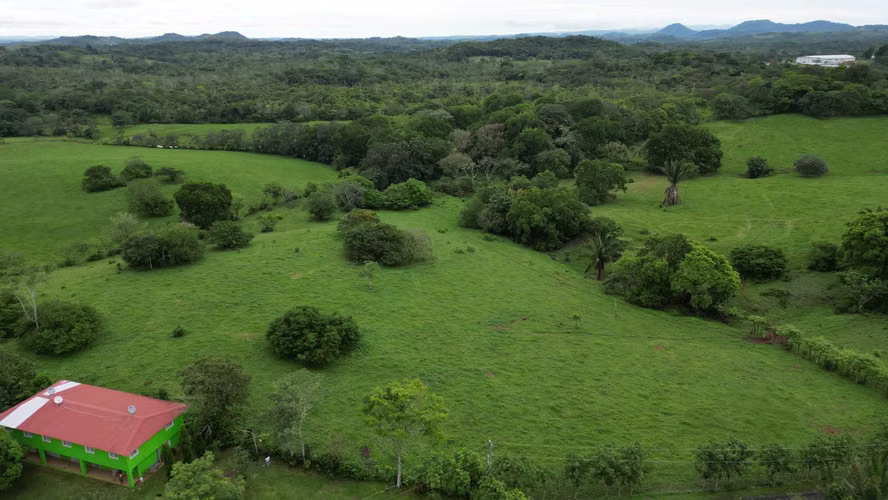 51 HECTÁREAS DE TERRENO! $3,571,715 - Imagen 6